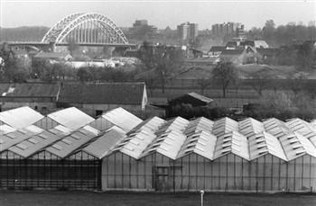 De Waalbrug met op de voorgrond de kassen bij Lent , met op de achtergrond het Estel gebouw, hoofdkantoor van Royal Haskoning; Foto Foto