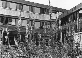 MAPKUN 149; Foto Foto