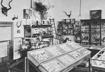 Gebouwen. Interieur. Cabinet van natuurlijke historie; Foto Foto