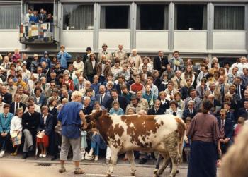 A.A.M. van Agt, commissaris van de Koningin in Noord-Brabant, bezoekt de Brabantse dag te Heeze.; Foto Foto