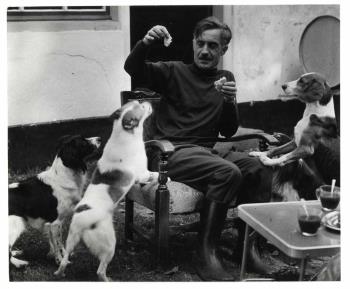 Een man voert drie honden; Foto Foto