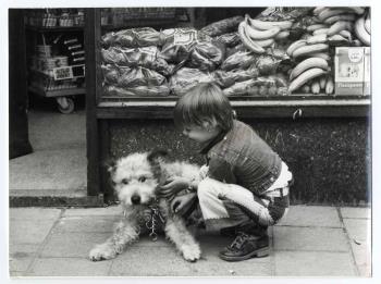 Een jongen aait een hond voor een groentewinkel ergens in Amsterdam; Foto Foto