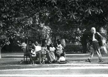 Zuid-Afrika/Mensen in het park.; Foto Foto