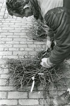 Een medewerker tijdens werkzaamheden bij een gebouw van de Medische Faculteit; Foto Foto