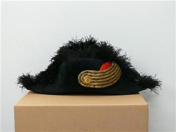 Steek met gouden lus en knoop en oranje kokarde. Met zwarte struisvogelveren.
Binnenkant houdende het wapen van het Koninkrijk der Nederlanden, met tekst: 'Je Maintiendrai'; Ministersteek Ministersteek